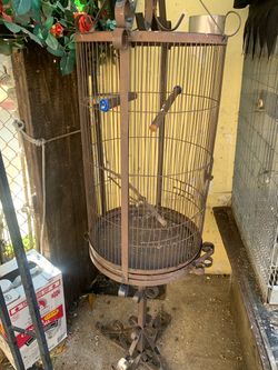 Small bird cage