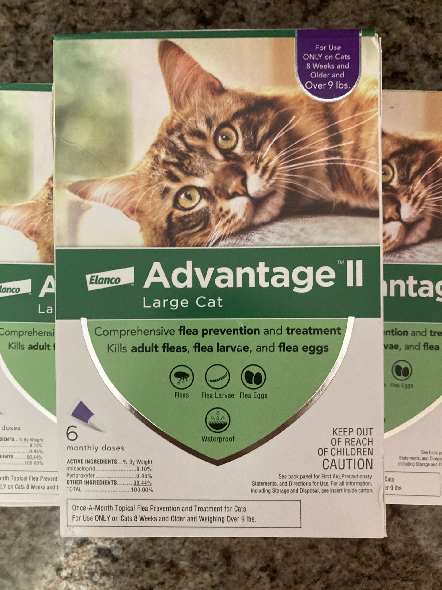 Advantage ll Large Cat Flea Treatment & Prevention | Cats Over 9lbs | 6-Month Supply