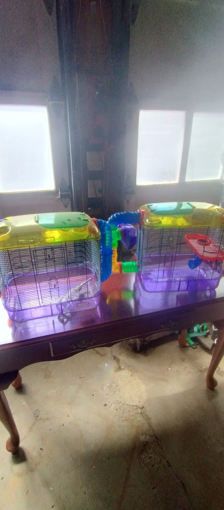Hamster cages