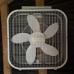 Fan