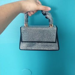 Clutch Purse 
