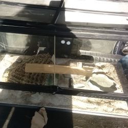 Reptile tank With Accessories 