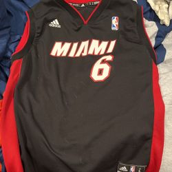 Large LeBron James Jersey