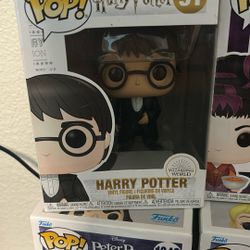 Harry Potter Funko 91