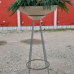 Decoration $25 dlls. 