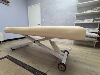 Earth light Ellora Massage Table