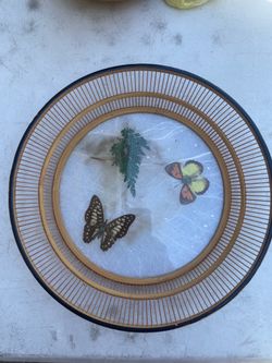 Butterfly art decor