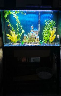Deluxe 💎 Magic Castle 30G Aquarium n Metal Stand. Pecera Completa Con Accessorios y mueble.