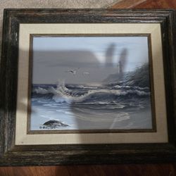 D BRUSEL OCEAN PORTRAIT 