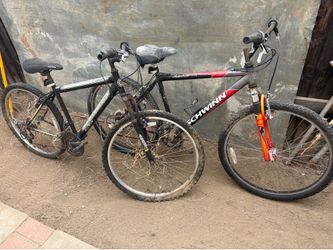 Free bikes