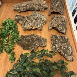 Reptile Wood Supplies 