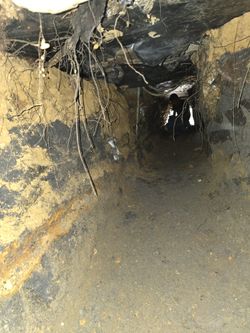 Tunelero