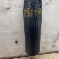 Punching Bag