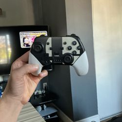 Nintendo Switch Wireless Controller 