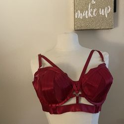 Extra Large Torrid Bra 