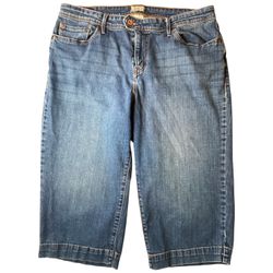 Levi's Classic Denim Jean Shorts Plus Size 18