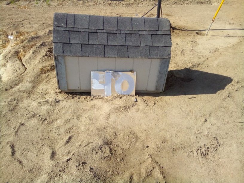 Dog House