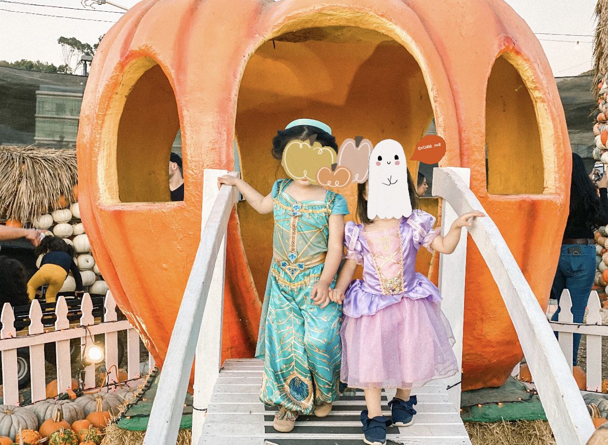 Aladdin Princess Jasmine toddler girl size 3-4 Halloween costume