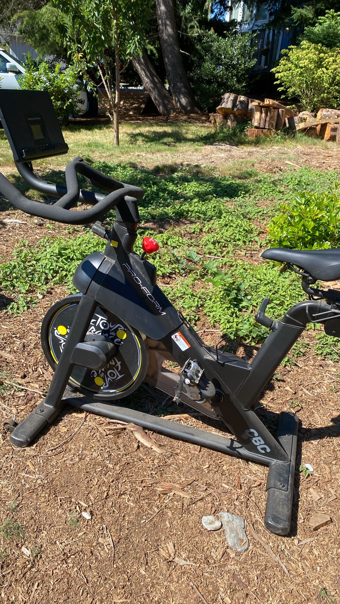 Pro Form Station Bike