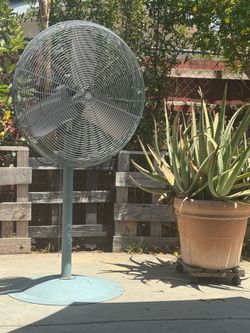 TPI Industries industrial pedestal fan