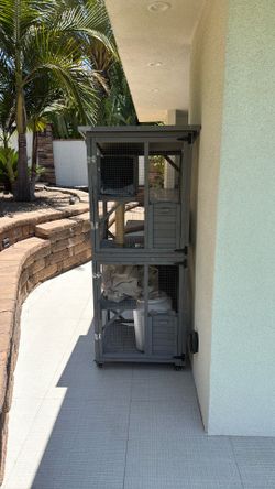 Cat cage