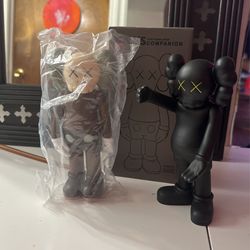 Kaws Companion