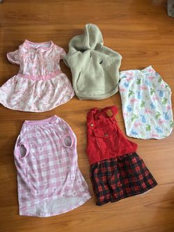 clean dog clothes
