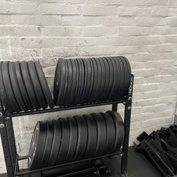 Rogue / Sorinex 10lb Plates