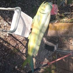 Dolphin Or Mahi Mahi Wood Carving Solid Oak