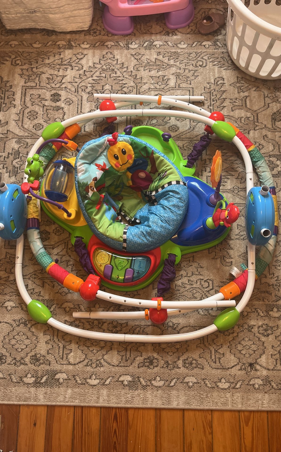Baby Einstein Jumper