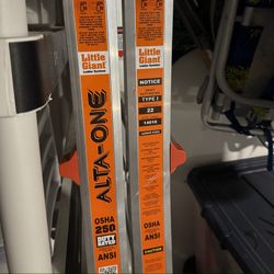 Little Giants Ladder