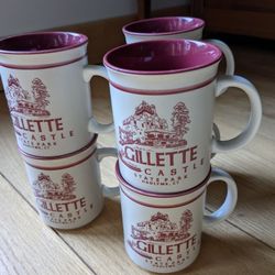 Castle state park Hadlyme  CT Coffee mug (set of 6)