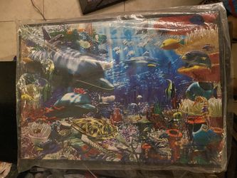 Underwater Image Frame