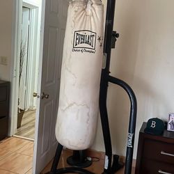 Boxing Bag 