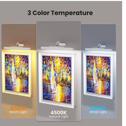 3 White Picture Lights 