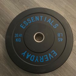 Everyday Essentials 45 LB Bumper Plate 20.41 KG Rubber Weight Single