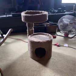 Small Cat House 