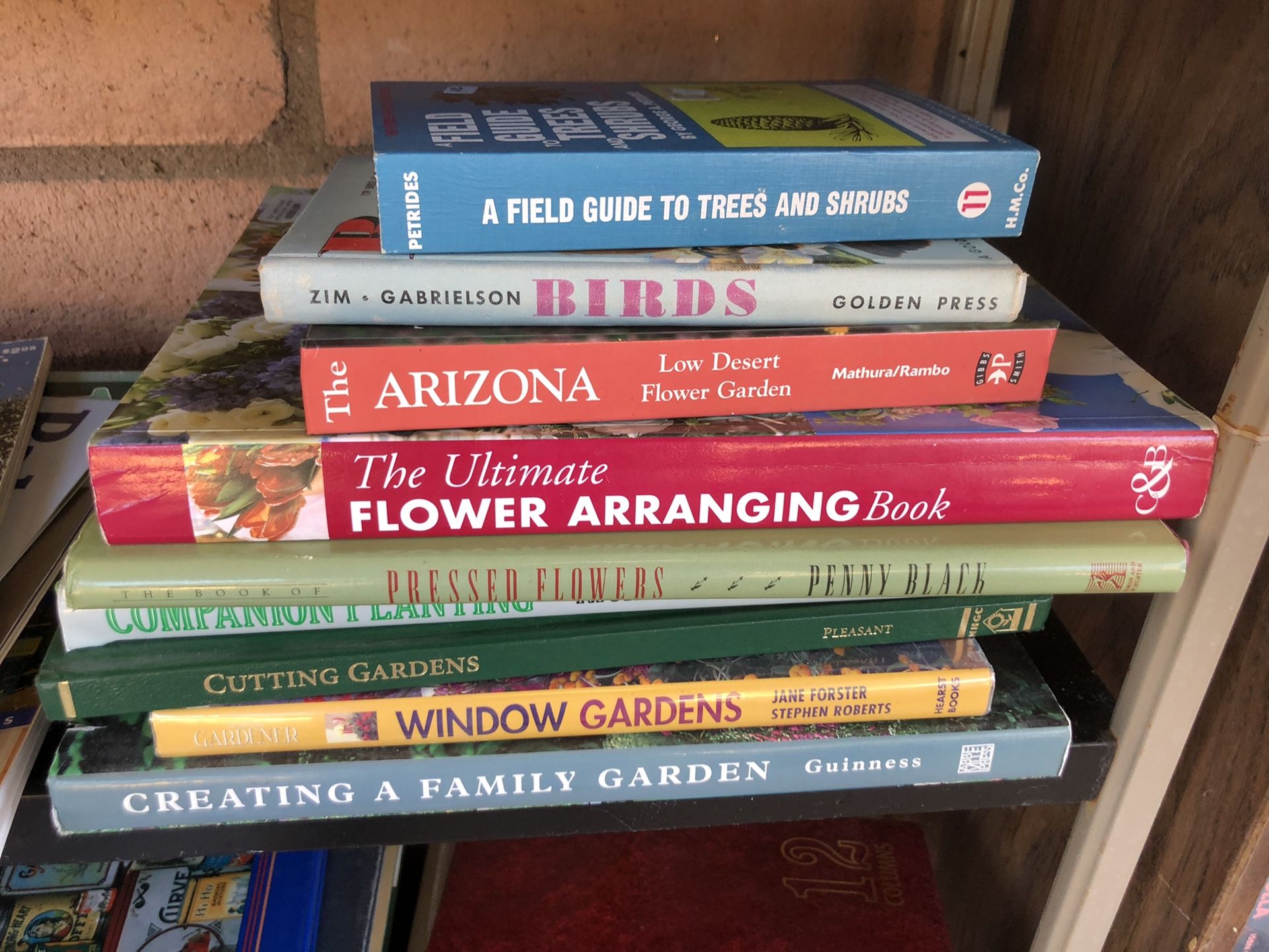 Lots Of Books Decorating, Garden, Fiction, Art