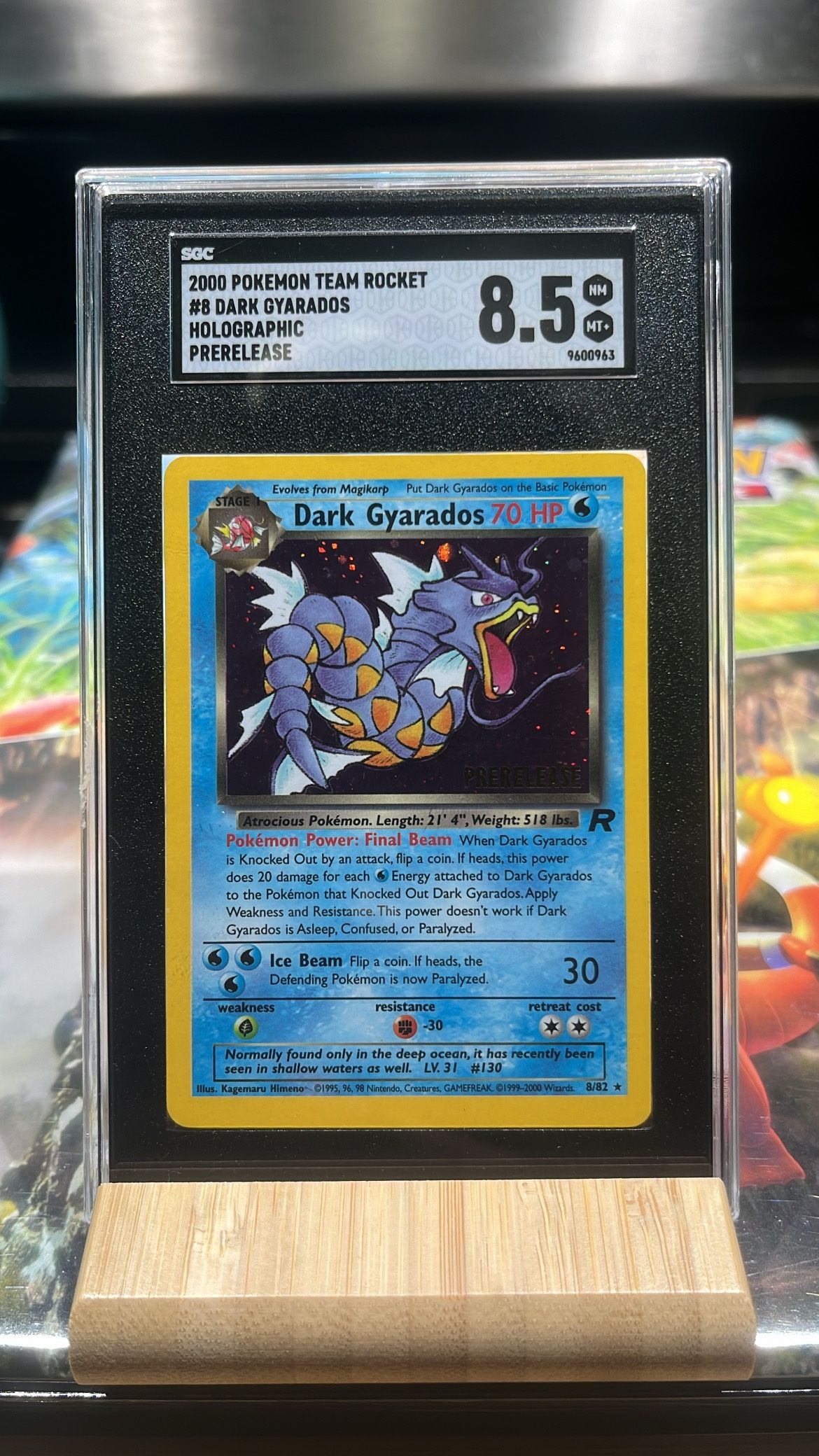 Pokemon Card Dark Gyarados