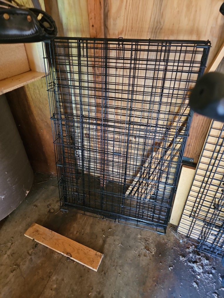 5 Sizes Of Dog Crates Take All For 50