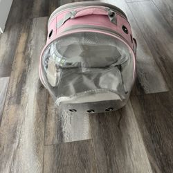 Cat Travel Bag