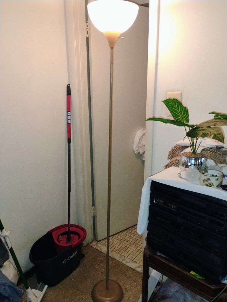 Tall Meet Floor Lamp Plastic Shade Pickup Only Cash 