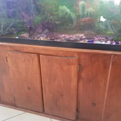 Fish tank And Stand Only