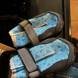 Small Dog Shoes