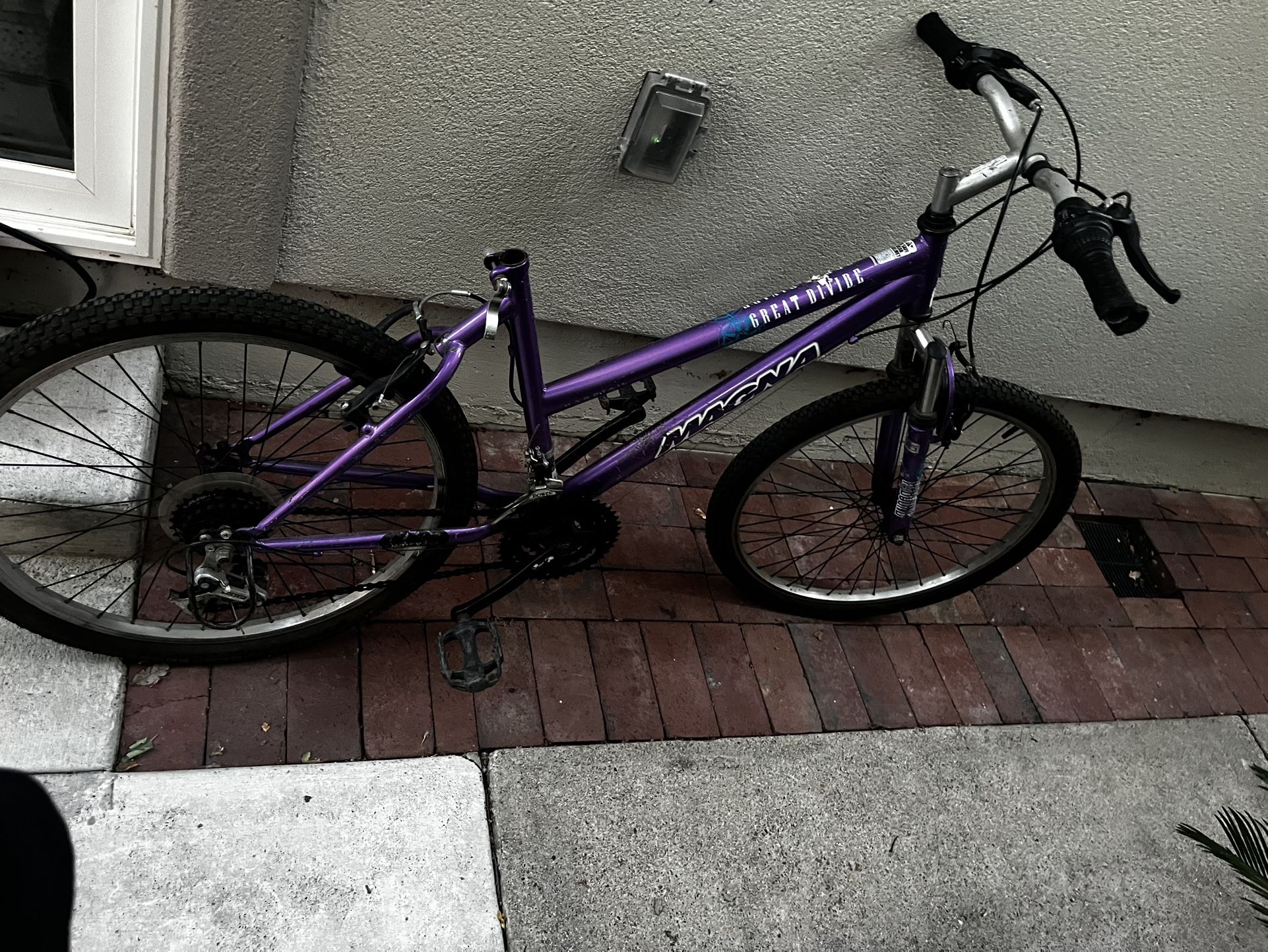 Magna Bike