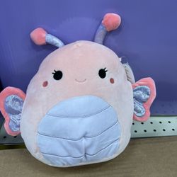 squishmallow 8@