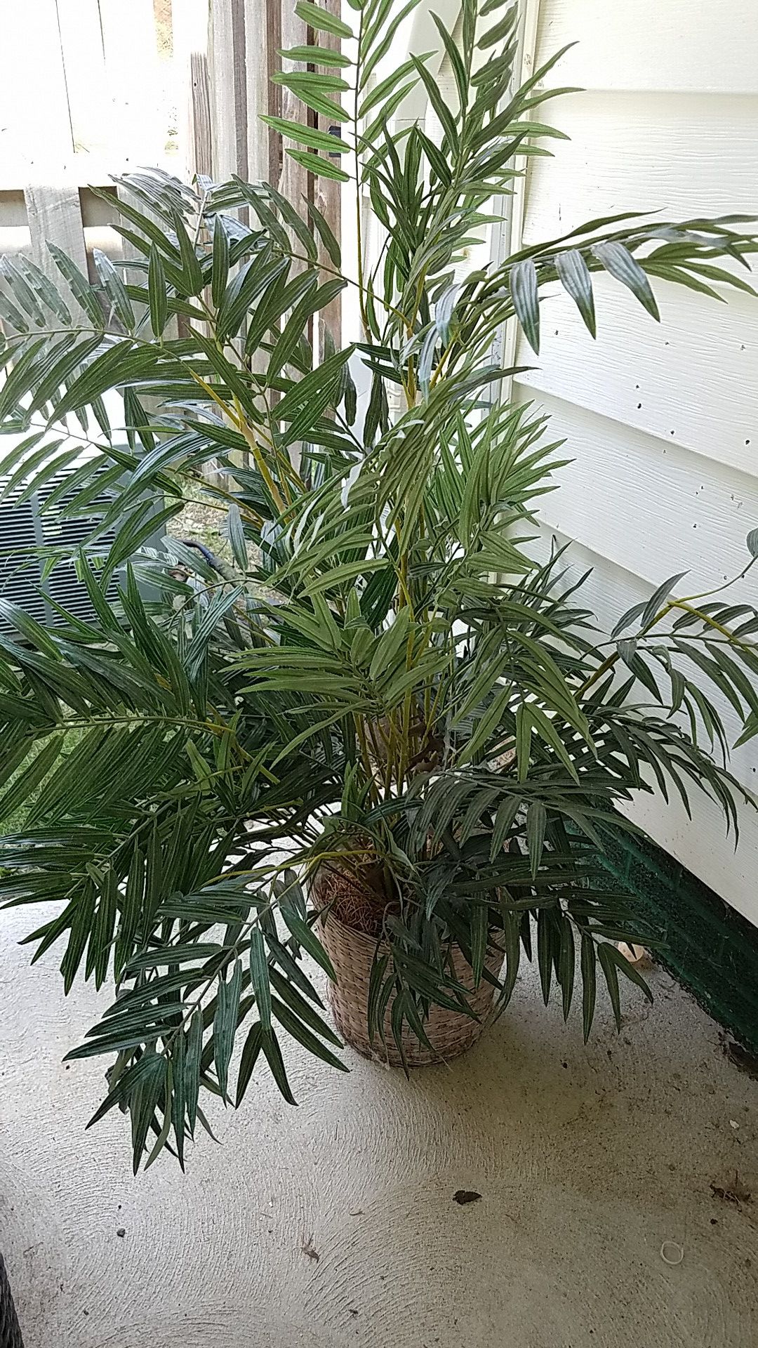 Indoor outdoor fake plant