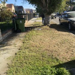 Jardinero
