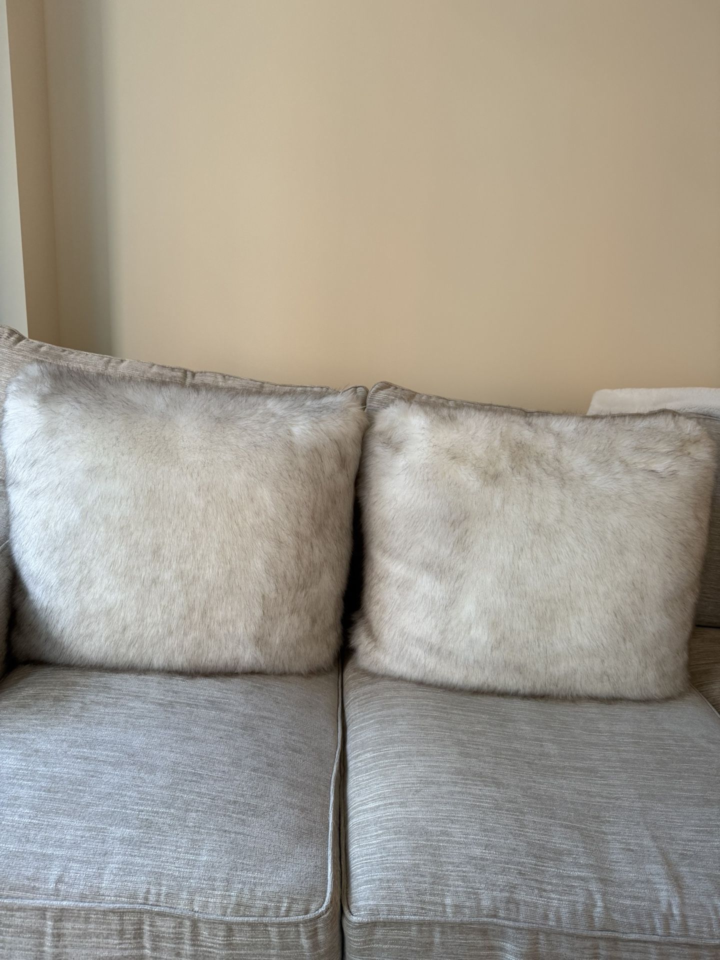 CB2 Faux Fur Throw Pillows- Set Of 2