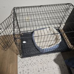 Dog Kennel